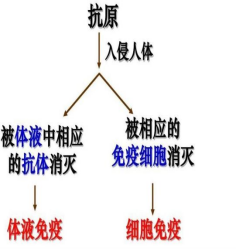 1636101561236871.png