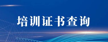 证书查询